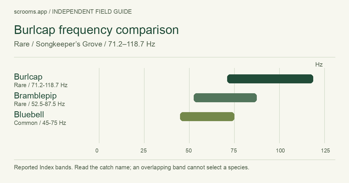 Burlcap frequency comparison. Rare / Songkeeper’s Grove / 71.2–118.7 Hz